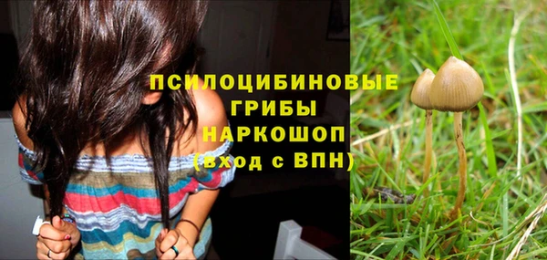 круглые Аркадак