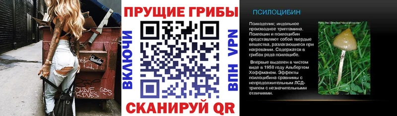 Псилоцибиновые грибы GOLDEN TEACHER  Нея 