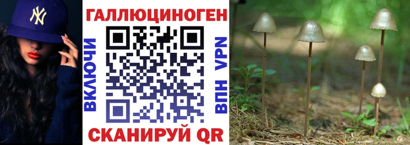 Галлюциногенные грибы Psilocybine cubensis Нея